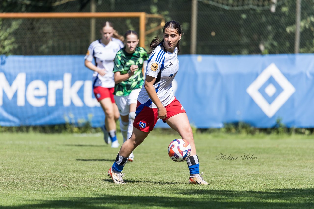 Bild 441 - wBJ Hamburger SV - VfL Wolfsburg : Ergebnis: 5:1